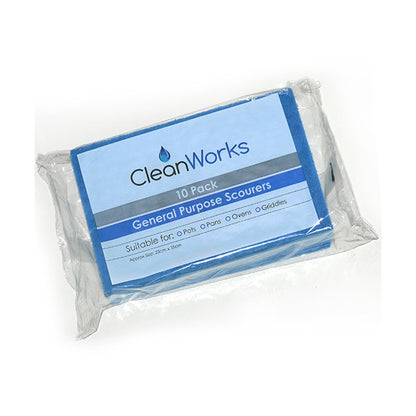 CleanWorks Colour Coded Scourer Blue Pack 10 - Fairspot UK